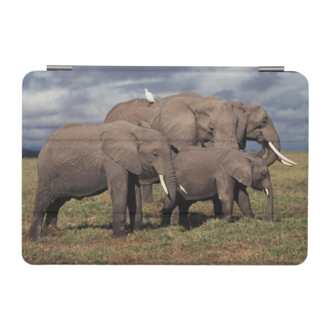Baby African Elephant with family iPad Mini Cover (Horizontal)