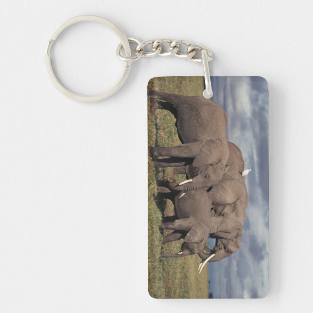 Baby African Elephant with family Keychain (Front)