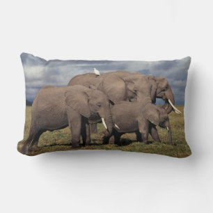 Baby African Elephant with family Lumbar Pillow