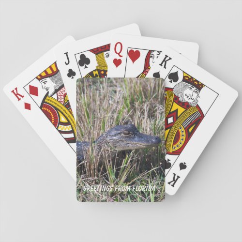 Baby Alligator Greetings From Florida Personalize Playing Cards