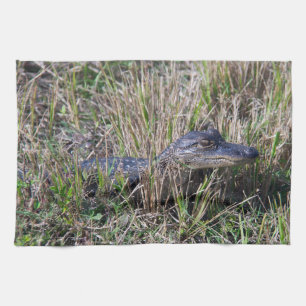Baby Alligator in Marsh Grass Photography Kitchen Towel