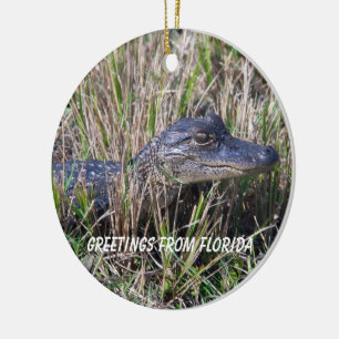 Baby Alligator Wildlife Nature Personalize Ceramic Ornament