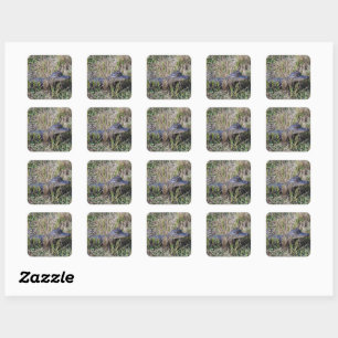 Baby Alligator Wildlife Nature Photography Square Sticker