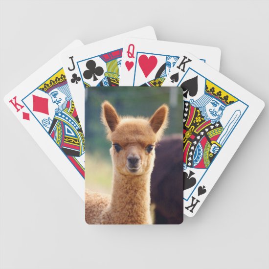 Baby Alpaca Bicycle Playing Cards