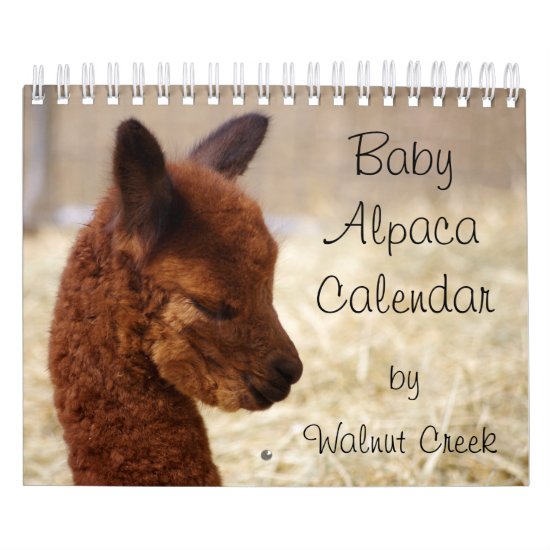 Baby Alpaca Calendar 2019