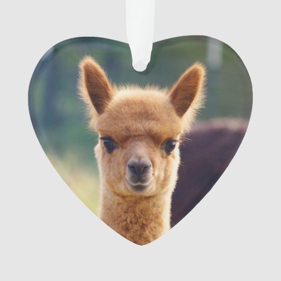 Baby Alpaca Heart Ornament