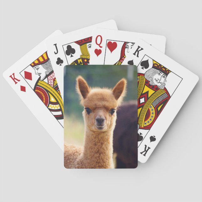 Baby Alpaca Playing Cards (Back)