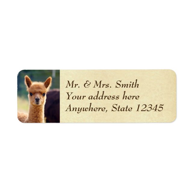 Baby Alpaca Return Address Labels (Front)