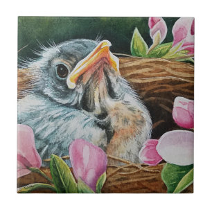 Baby American Robin Bird in Nest Watercolor Art Ceramic Tile