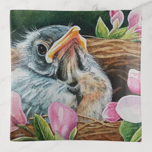 Baby American Robin Bird in Nest Watercolor Art Trinket Tray