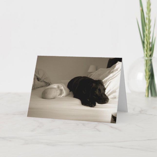 Baby and dog card (Front)