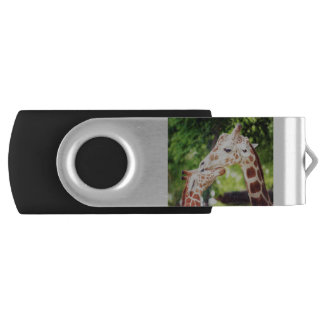 Baby and Mama Giraffe Flash Drive