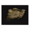 Baby Angel Wings Sleeping in Hand