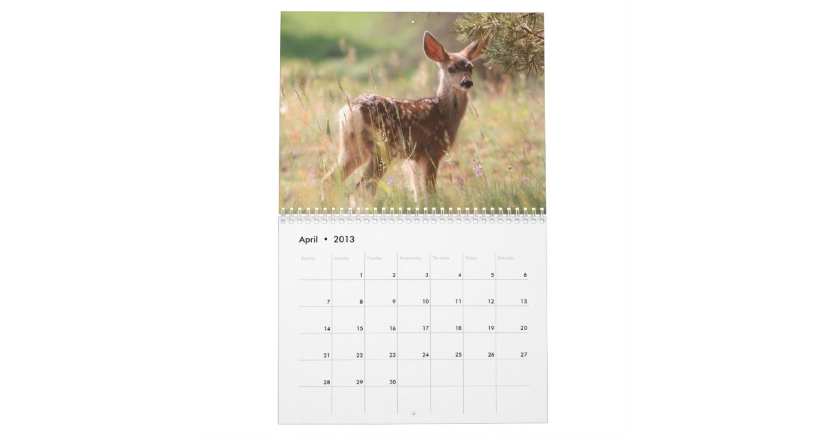 Baby Animals Calendar | Zazzle