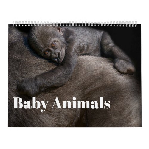 Baby Animals Calendar