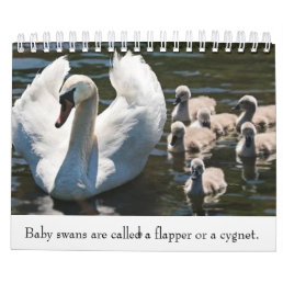 Baby animals calendar