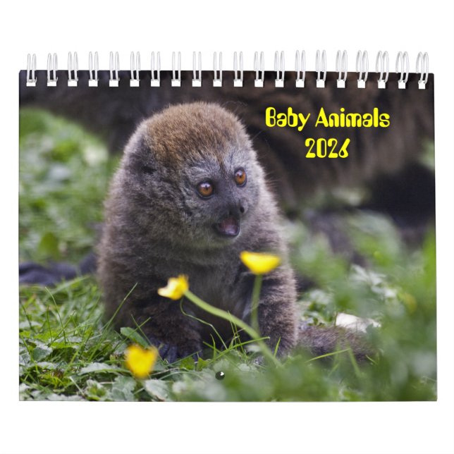 Baby Animals Calendar (Cover)