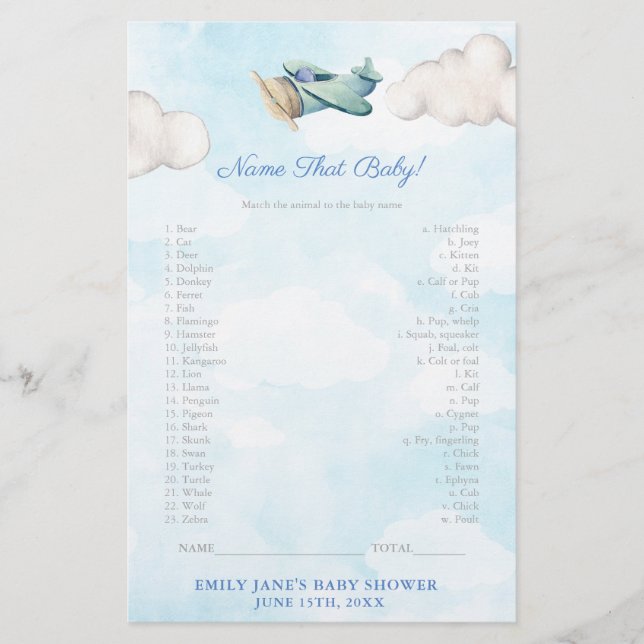 Baby Animals Game Card Toy Airplane Baby Shower Flyer (Front)