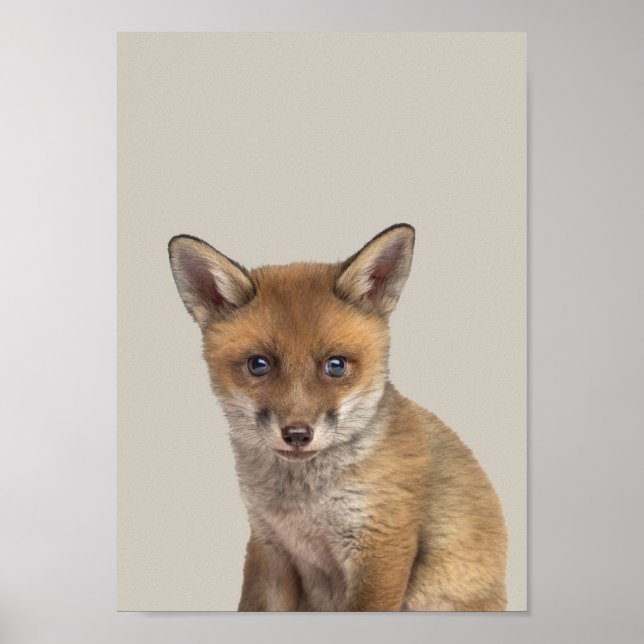 Baby Animals Nursery Poster - Fox (Front)