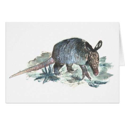 Baby Armadillo Cards (Front Horizontal)