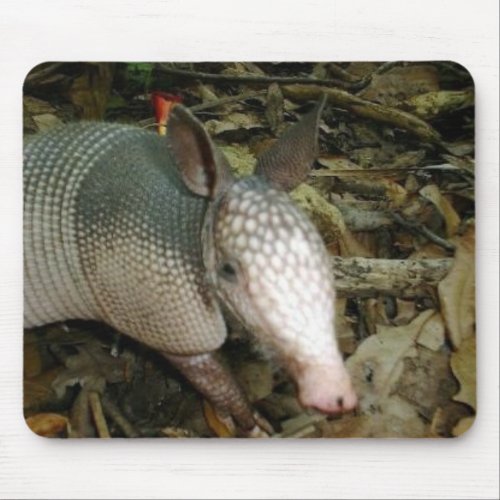 Baby Armadillo Mouse Pad