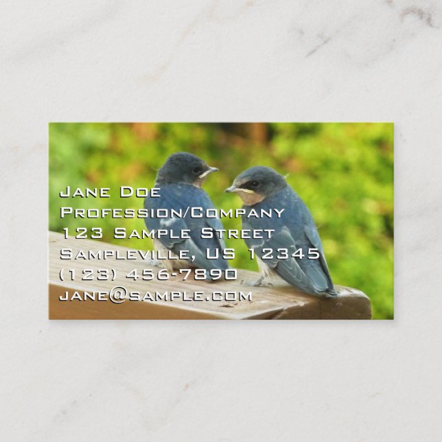 Baby Barn Swallows Nature Bird Photography Business Card (Front)