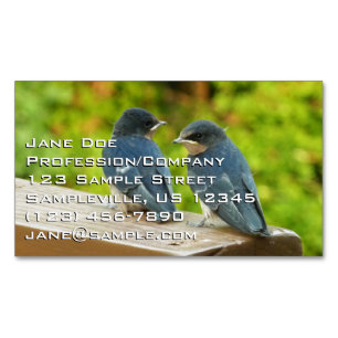 Baby Barn Swallows Nature Bird Photography Business Card Magnet