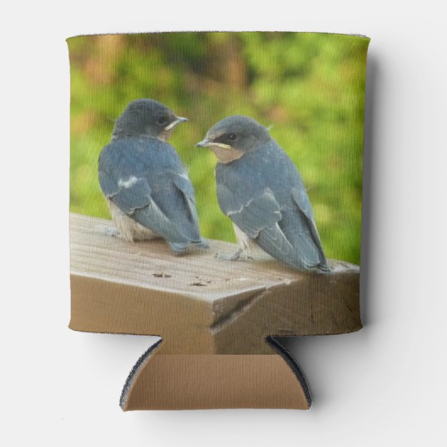 Baby Barn Swallows Nature Bird Photography Can Cooler (Front)