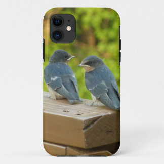 Baby Barn Swallows Nature Bird Photography iPhone 11 Case