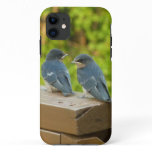 Baby Barn Swallows Nature Bird Photography iPhone 11 Case