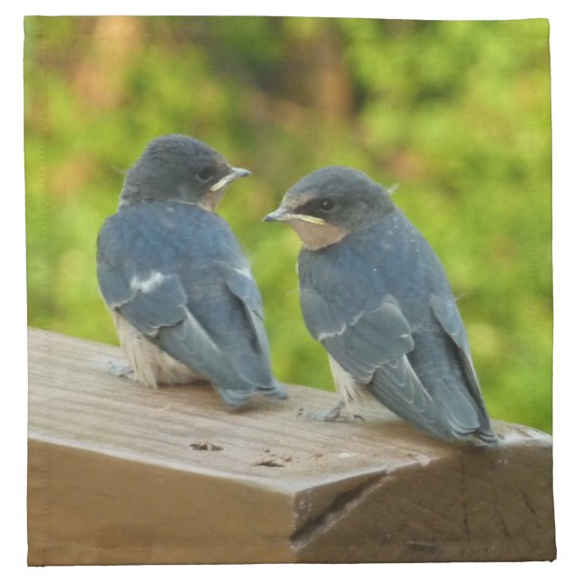 Baby Barn Swallows Nature Bird Photography Cloth Napkin (Front)