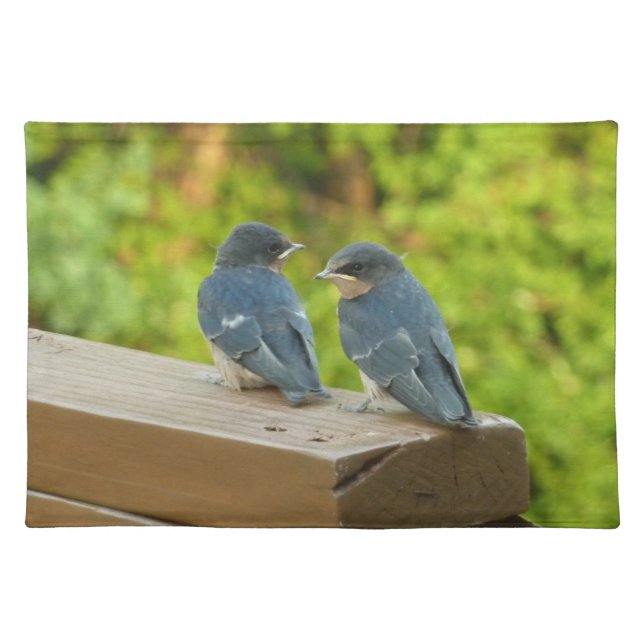 Baby Barn Swallows Nature Bird Photography Cloth Placemat (Front)
