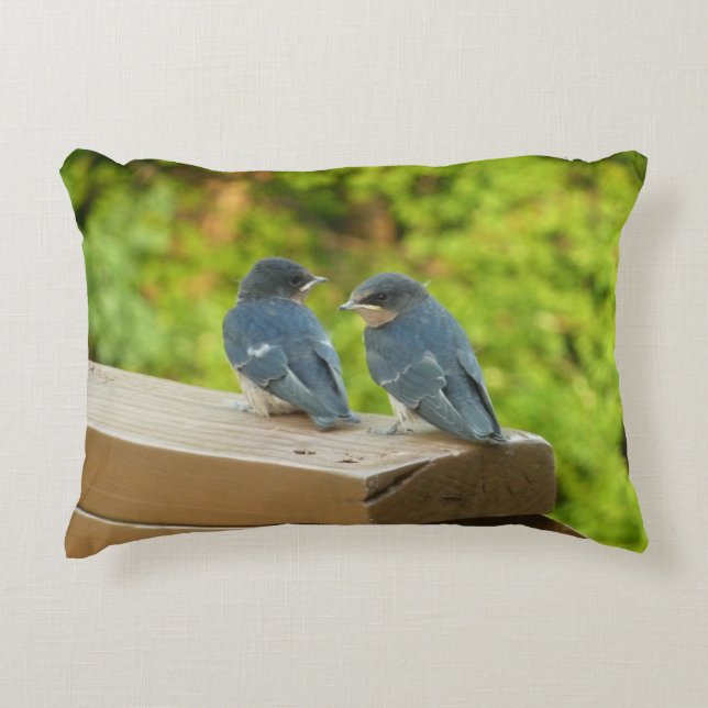 Baby Barn Swallows Nature Bird Photography Decorative Pillow (Front)