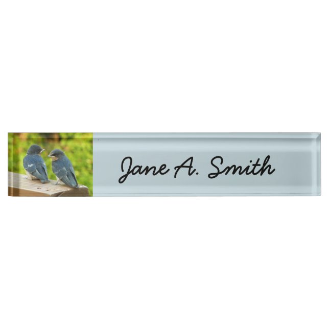 Baby Barn Swallows Nature Bird Photography Desk Name Plate (Front)