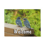 Baby Barn Swallows Nature Bird Photography Doormat