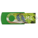 Baby Barn Swallows Nature Bird Photography Flash Drive