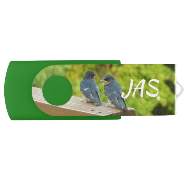 Baby Barn Swallows Nature Bird Photography Flash Drive (Front)