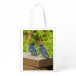 Baby Barn Swallows Nature Bird Photography Grocery Bag