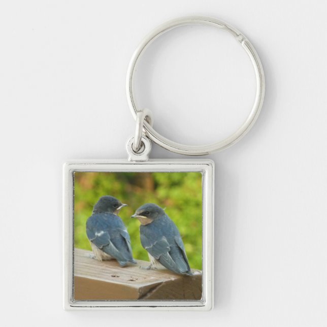 Baby Barn Swallows Nature Bird Photography Keychain (Front)