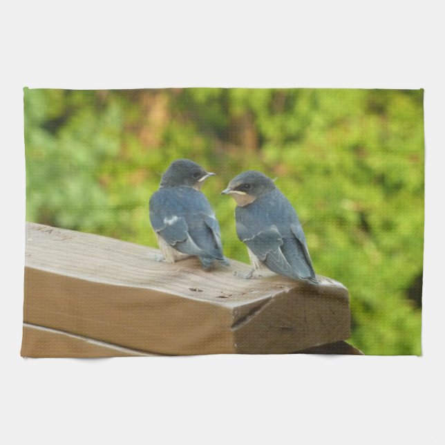 Baby Barn Swallows Nature Bird Photography Kitchen Towel (Horizontal)