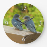 Baby Barn Swallows Nature Bird Photography Large Clock