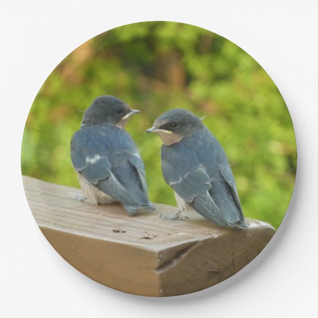Baby Barn Swallows Nature Bird Photography Paper Plates (Front)