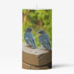 Baby Barn Swallows Nature Bird Photography Pillar Candle