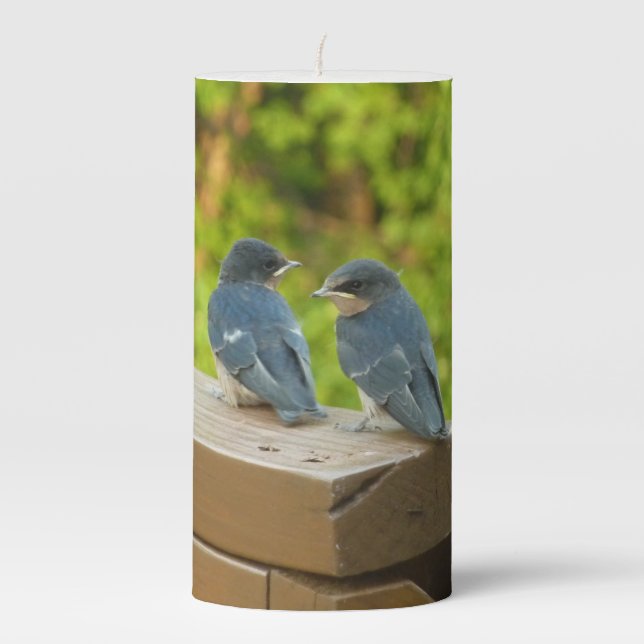 Baby Barn Swallows Nature Bird Photography Pillar Candle (Front)