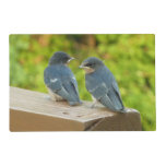 Baby Barn Swallows Nature Bird Photography Placemat