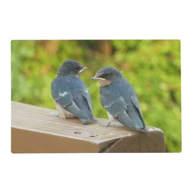 Baby Barn Swallows Nature Bird Photography Placemat (Front)