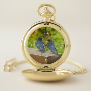 Baby Barn Swallows Nature Bird Photography Pocket Watch