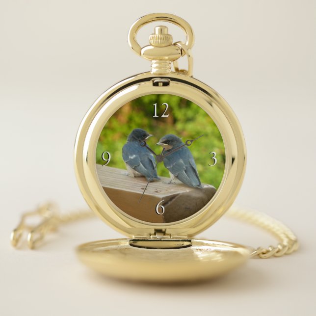 Baby Barn Swallows Nature Bird Photography Pocket Watch (Inside)