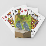 Baby Barn Swallows Nature Bird Photography Poker Cards