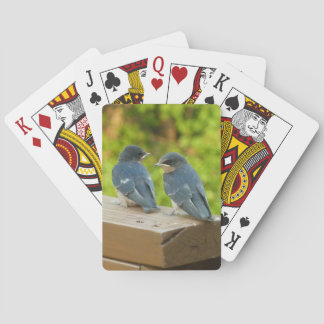 Baby Barn Swallows Nature Bird Photography Poker Cards